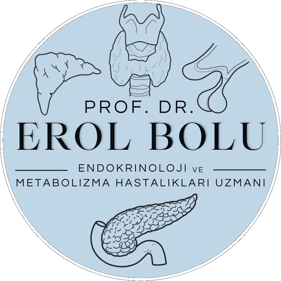 Erol Bolu Logo